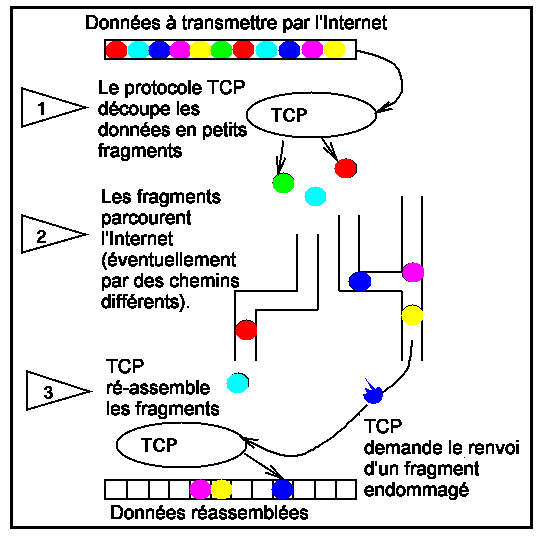 TCP/IP